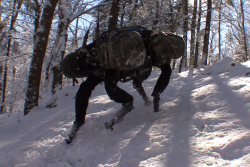 robot Big Dog (Picture: Boston Dynamics).