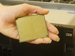 Power8-Chip für die kommende Power-Server-Generation von IBM (Bild: IBM)