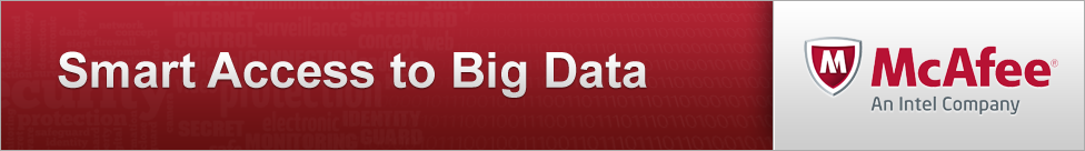 Smart Access to Big Data