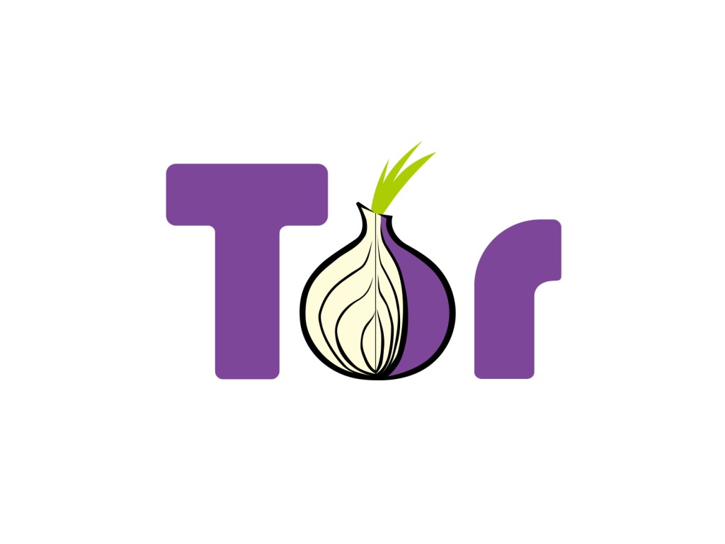 Tor browser детская порнография попасть на гидру как настроить работу tor browser hydra2web