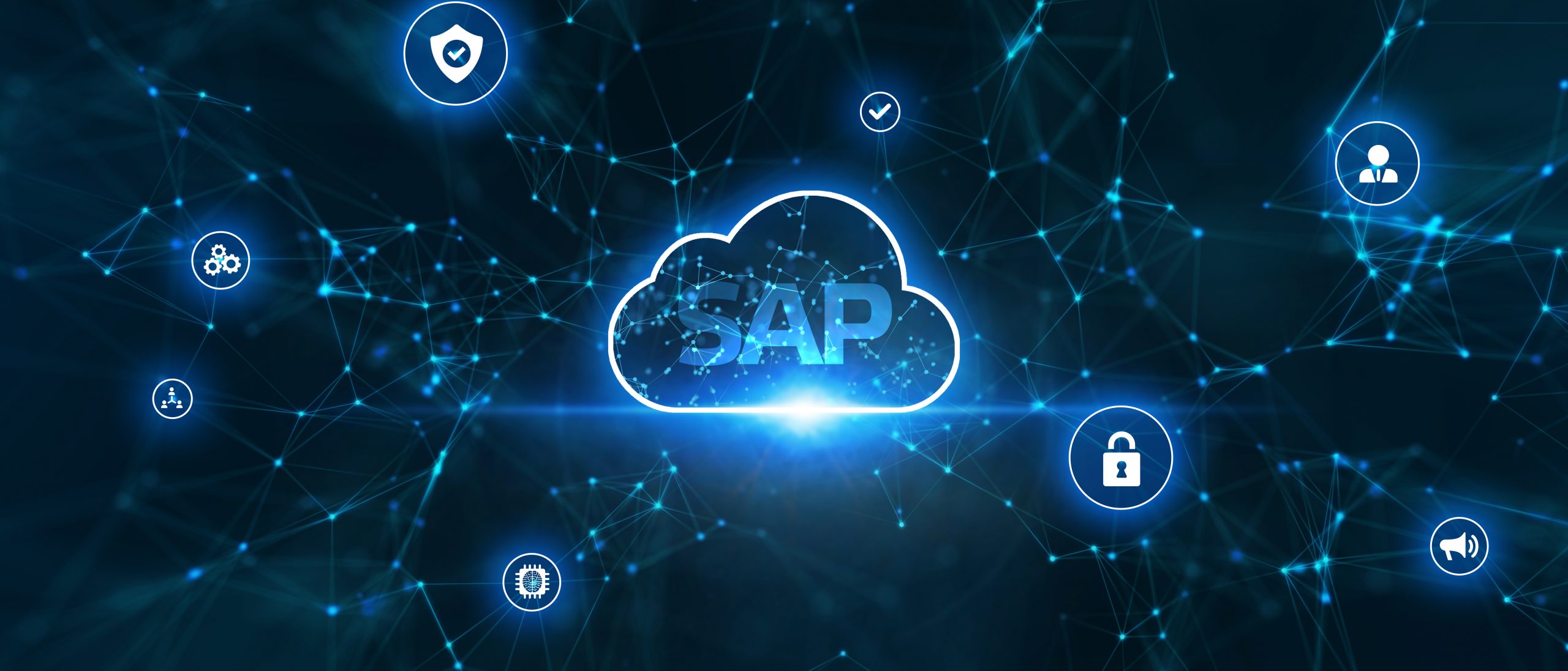 SAP-Analytics-Cloud-aus-der-Praxis-f-r-die-Praxis